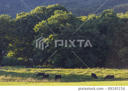 200617 Ranch evening view g013 89195158