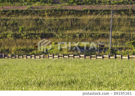 200617 Ranch evening view g010 89195161