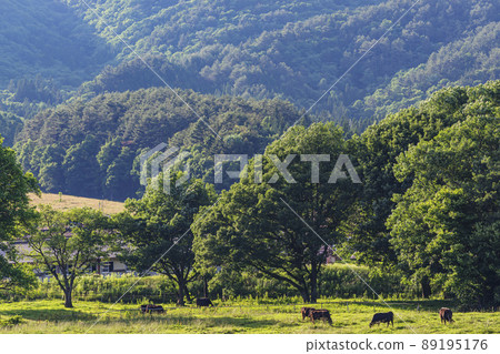 200617 Ranch evening view g001 200617 Ranch evening view g001 89195176