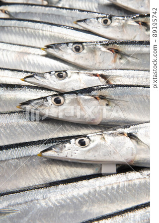 pike pike 89195742