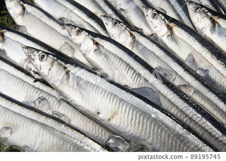 pike 89195745