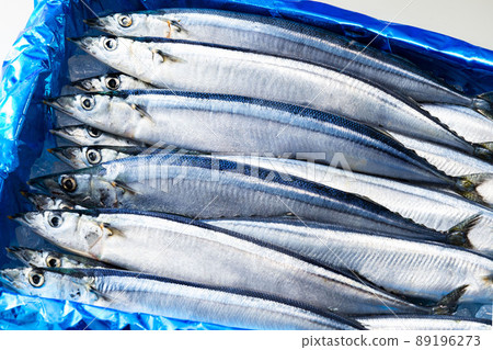 Delicious saury 89196273