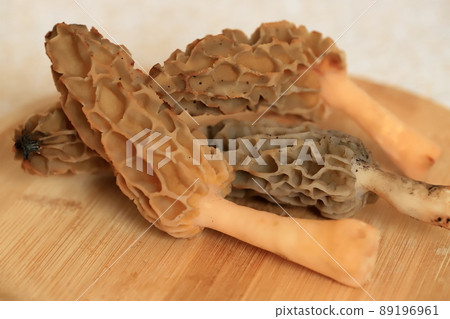 預示春天的羊肚菌 豪華蘑菇 預示春天的羊肚菌 豪華蘑菇 89196961