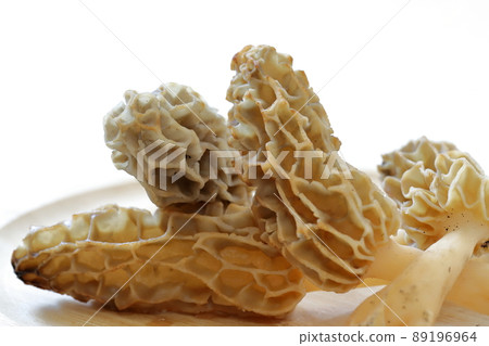 Morels that herald spring Luxury mushrooms 89196964