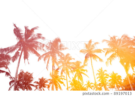 Tropical palm trees silhouettes isolated on white with sunset sky double exposure effect Tropical palm trees silhouettes isolated on white with sunset sky double exposure effect 89197013