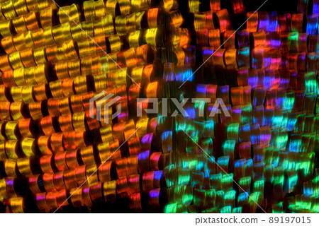 Extreme macro of butterfly wing colorful iridescent scales under the microscope Extreme macro of butterfly wing colorful iridescent scales under the microscope 89197015