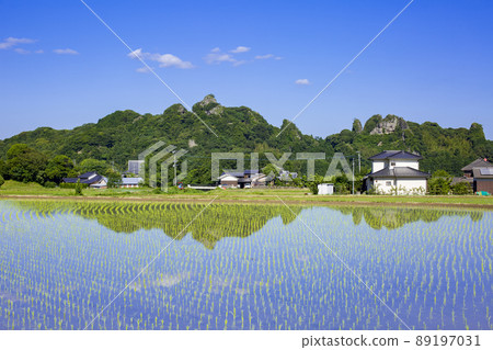 Tadameso Tadameso 89197031