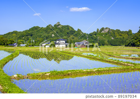  Tadameso 89197034
