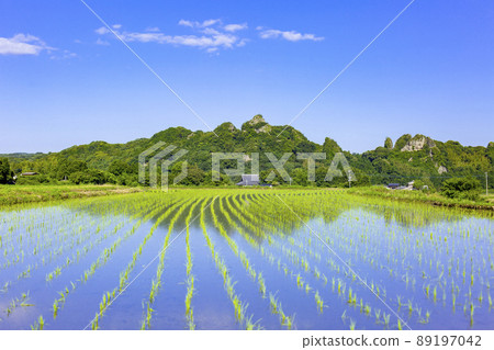  Tadameso 89197042