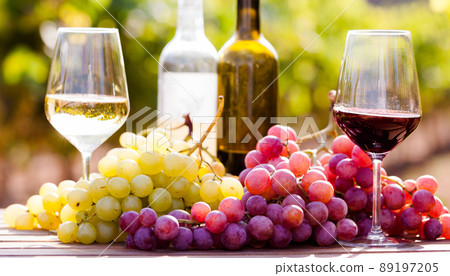 glasses of red and white wine and ripe grapes on table in vineyard 89197205
