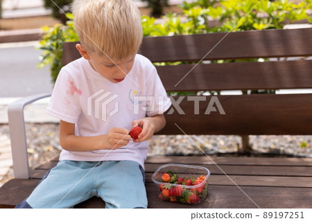 Little boy eating strawberries on a bench in the park. White t-shirt is dirty with berries. 89197251