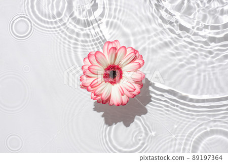 Sunny summer background with gerbera flower. The texture of the water surface. 89197364