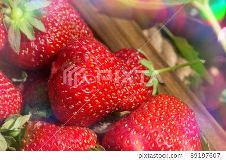 Group of strawberry.  89197607