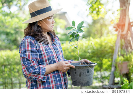 Gardener woman holding potted plant with growing tree in garden. 89197884