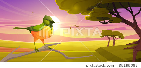 Cute bird sitting on branch in savannah at sunset Cute bird sitting on branch in savannah at sunset 89199085
