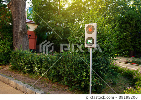 Beautiful resort town Zelenogradsk with relaxing city cats.. 89199206