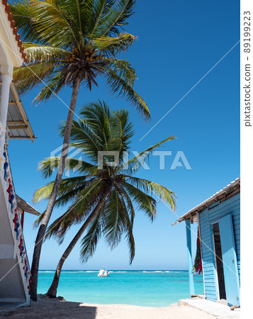 Typical caribbean house near Atlantic ocean seashore with coconut palm tree. Blue exterior of tropical wooden hut. Dominican Republic 89199223