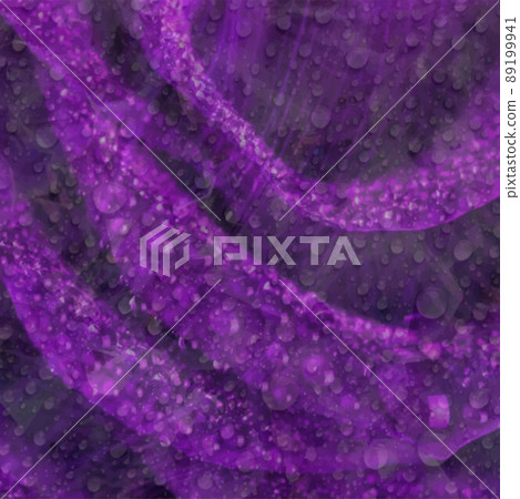 Rose flowers with dew drops tenderness background postcard wallpaper purple 89199941