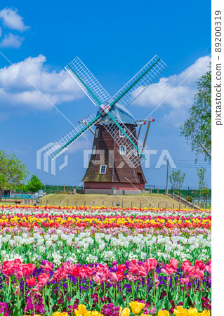 Tulip Akebonoyama Agricultural Park 89200319