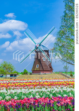 Tulip Akebonoyama Agricultural Park 89200328