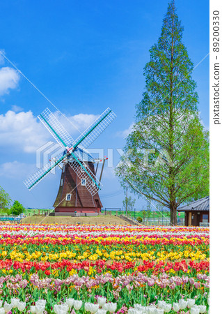 鬱金香Akebonoyama農業公園 89200330