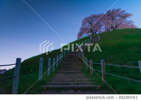 Cherry blossoms blooming in an old burial mound taken at night and the undulating stairs leading to it 89200501