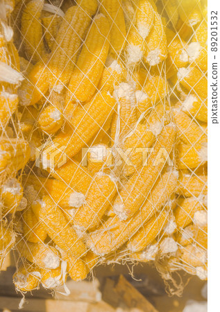 Corn cobs is dry on the farm Corn cobs is dry on the farm 89201532