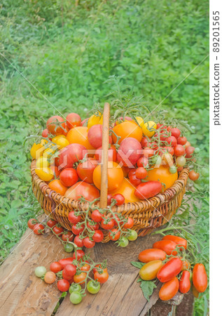 Tomatoes in a basket on a nature background 89201565