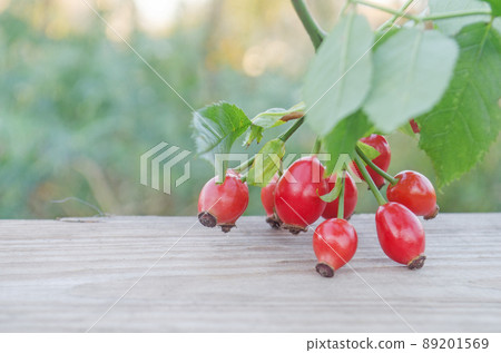 Dog rose on brown wooden background Dog rose on brown wooden background 89201569