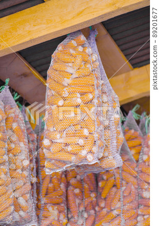 Sacks of yellow dried corns Sacks of yellow dried corns 89201677