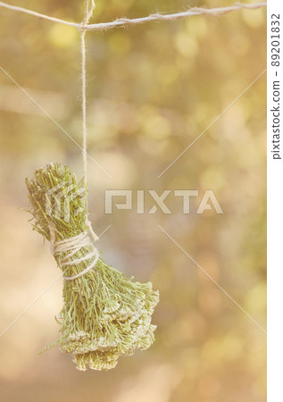 Achillea millefolium or yarrow plant. Millefolii herba on the rope 89201832