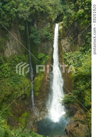 Bajos del Toro Waterfall of Costa Rica Drone Bajos del Toro Waterfall of Costa Rica Drone 89201920