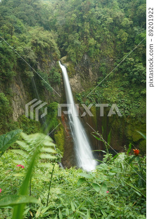 Bajos del Toro Waterfall of Costa Rica Drone 89201922