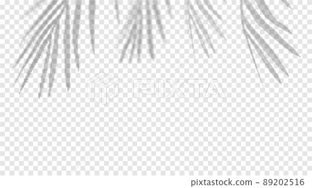 Shadow palm leaves overlay for mockup template product flat lay top. Shadow palm leaves overlay for mockup template product flat lay top. 89202516