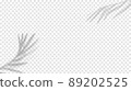 Shadow palm leaves overlay for mockup template product flat lay top.  89202525