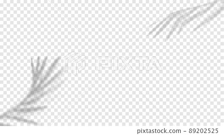 Shadow palm leaves overlay for mockup template product flat lay top. Shadow palm leaves overlay for mockup template product flat lay top. 89202525