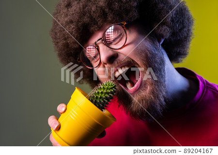 Crazy mad hipster man with Afro hairstyle holding flower pot with prickly cactus and trying to bite plant, wearing red sweatshirt. Indoor studio shot isolated on colorful neon light background. Crazy mad hipster man with Afro hairstyle holding flower pot with prickly cactus and trying to bite plant, wearing red sweatshirt. Indoor studio shot isolated on colorful neon light background. 89204167