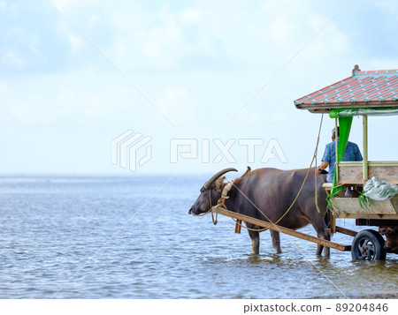 布法羅汽車 89204846