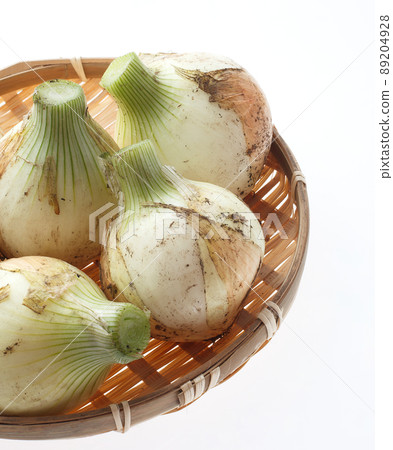 新洋蔥 新洋蔥 89204928