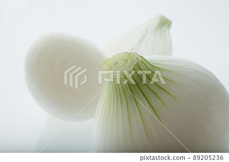 新洋蔥 新洋蔥 89205236