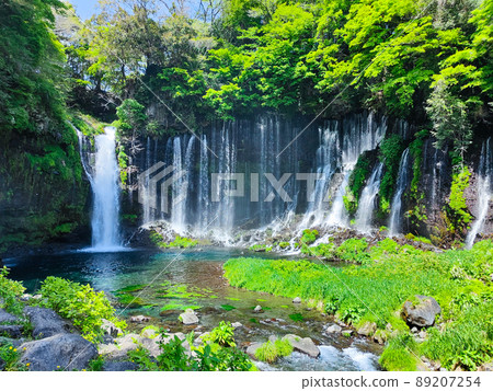Shiraito Falls (Fujinomiya City) Shiraito Falls (Fujinomiya City) 89207254