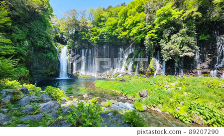 Shiraito Falls (Fujinomiya City) 89207290