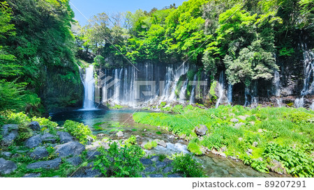 Shiraito Falls (Fujinomiya City) 89207291
