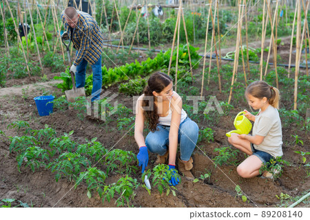 Friendly family working together on backyard garden Friendly family working together on backyard garden 89208140