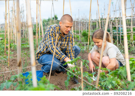 Man working with daughter at family garden Man working with daughter at family garden 89208216