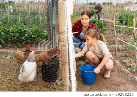 Girl feeding chickens in hen house - helping parents Girl feeding chickens in hen house - helping parents 89208226
