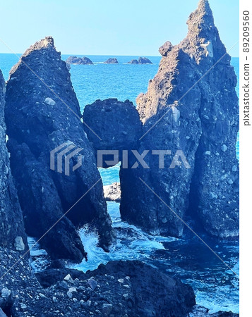 兵庫縣豐岡市波崎岩山陰海岸國立公園 89209560