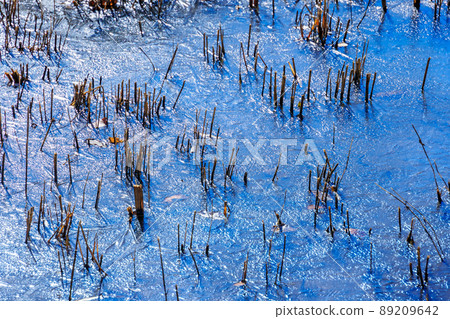 Frozen pond water due to the cold early morning 89209642