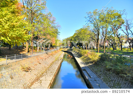 從成田下橋/善福寺川上游看（東京都杉並區）[2021.12] 89210574
