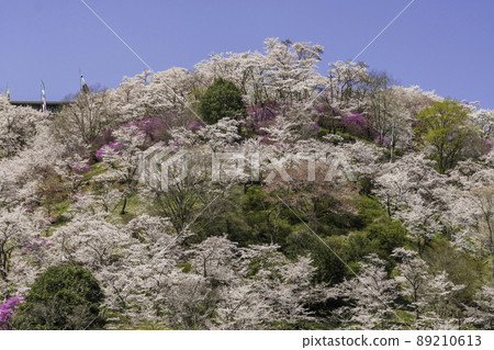 岡山縣三崎町宮澄公園 89210613